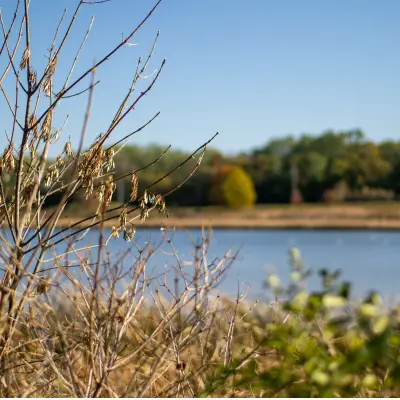 Waterfront land at Beals Team